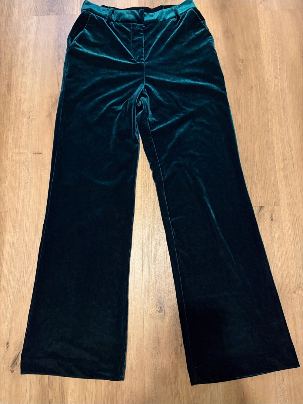 Skies Are Blue Velvet Green Wide-Leg Pants Size Small EUC